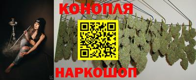 эйфоретик Жуковский