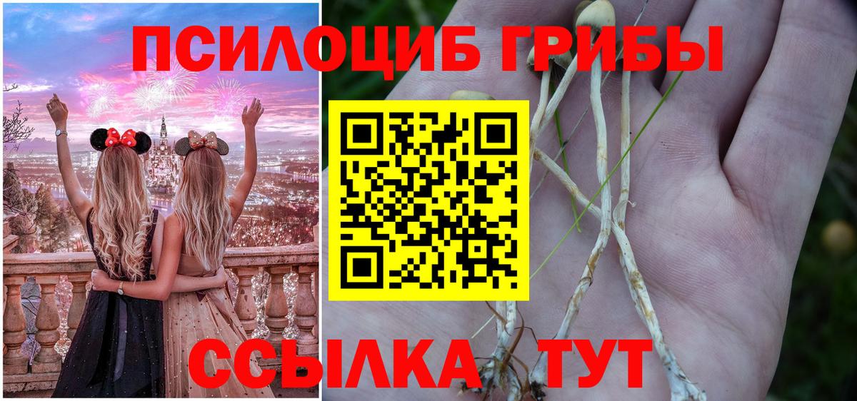 Галлюциногенные грибы MAGIC MUSHROOMS Волгоград